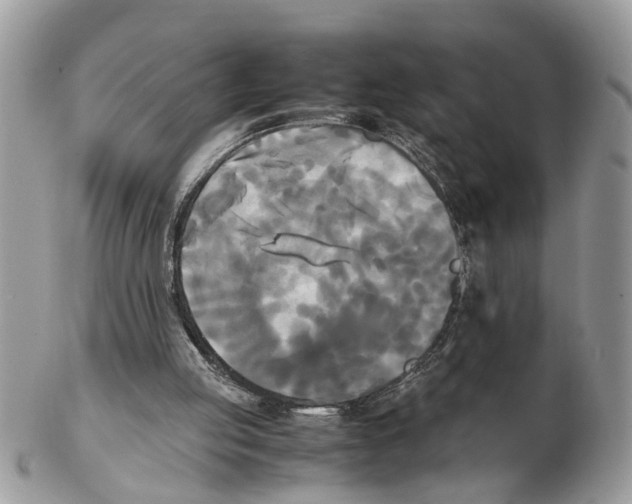 X0000102470053200809051342