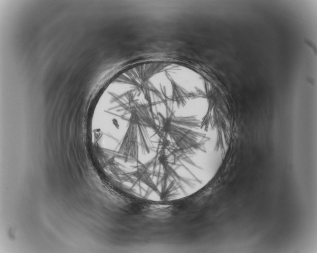 X0000102470055200809051342