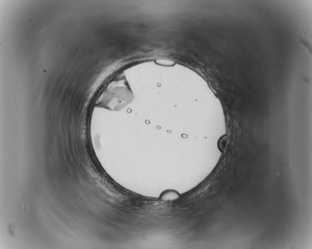 X0000102470056200809051342