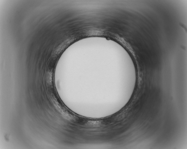 X0000102470057200809051342