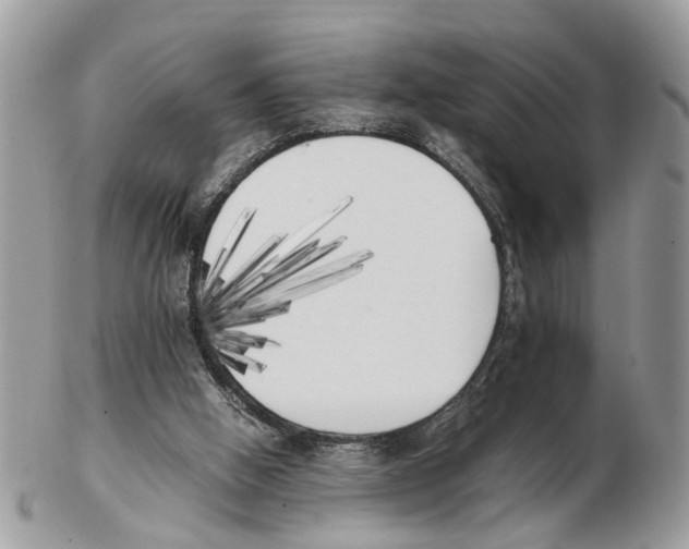 X0000102470058200809051342