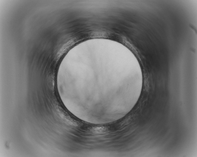X0000102470059200809051342