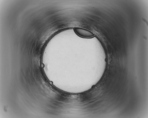 X0000102470060200809051342