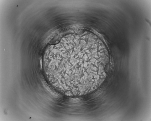 X0000102470061200809051342