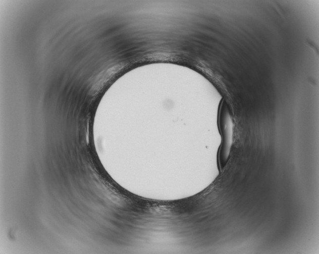 X0000102470062200809051342