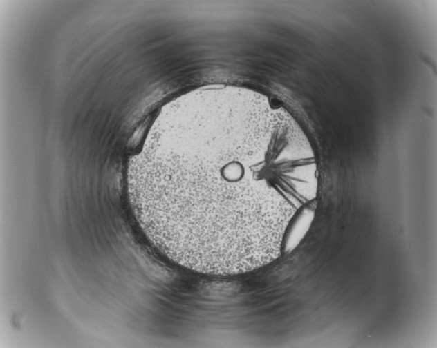 X0000102470063200809051342