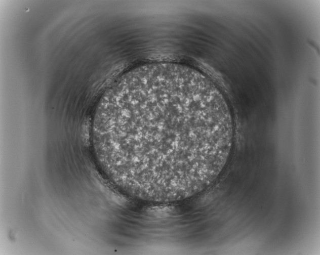 X0000102470065200809051342