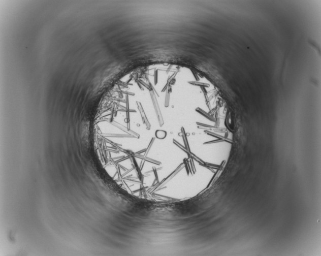 X0000102470066200809051342