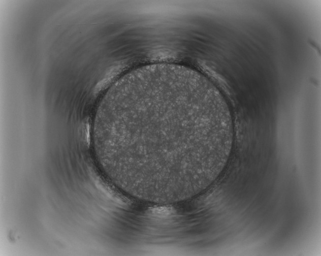 X0000102470067200809051342
