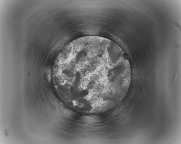 X0000102470069200809051342