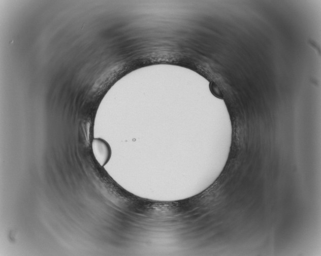 X0000102470070200809051342