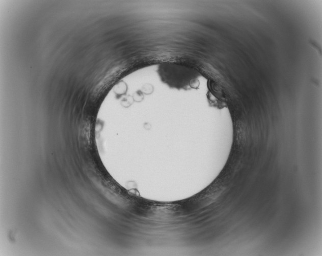 X0000102470072200809051342
