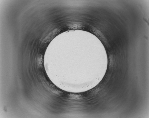 X0000102470073200809051342
