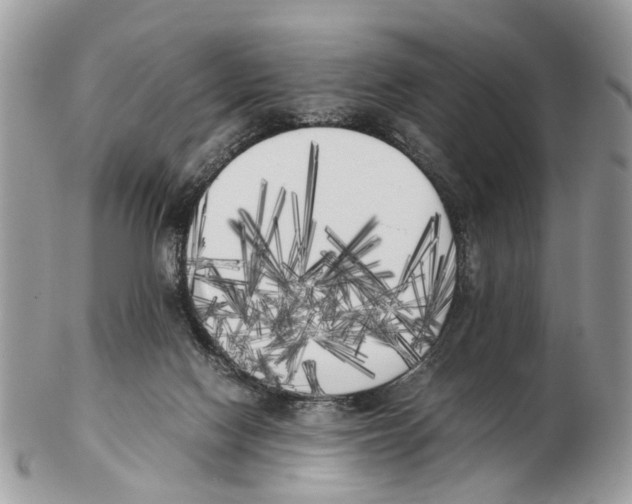 X0000102470074200809051342