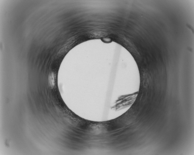 X0000102470075200809051342