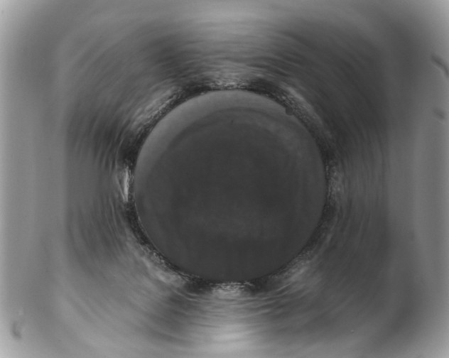 X0000102470076200809051342