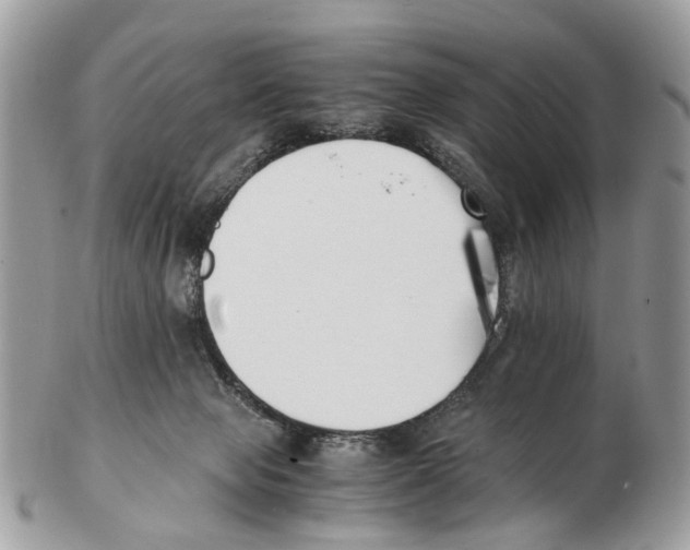 X0000102470077200809051342