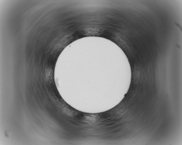 X0000102470079200809051342