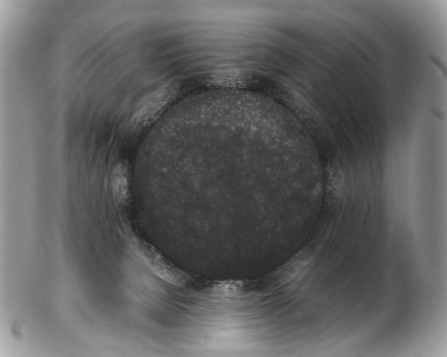 X0000102470080200809051342