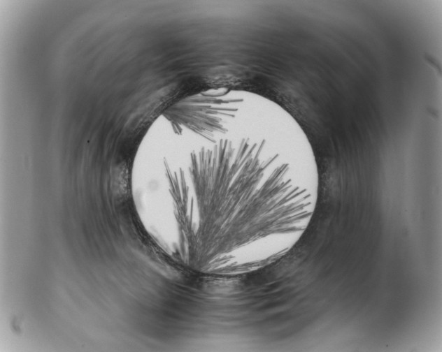 X0000102470081200809051342