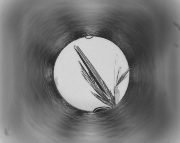 X0000102470082200809051342