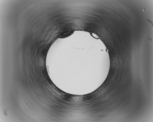 X0000102470084200809051342
