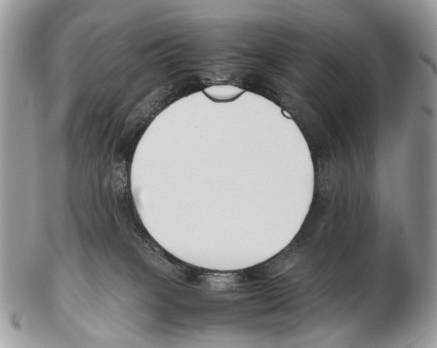 X0000102470085200809051342
