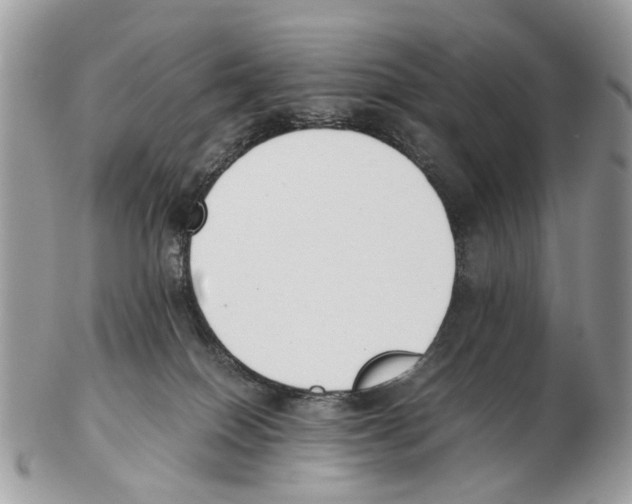 X0000102470086200809051342