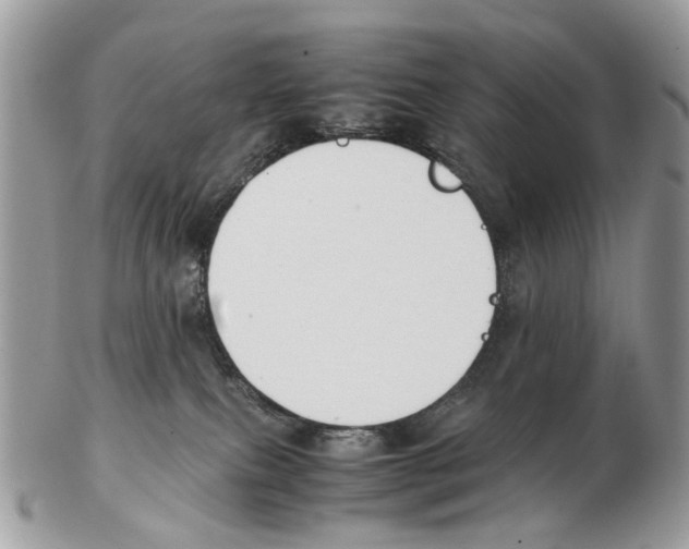 X0000102470087200809051342