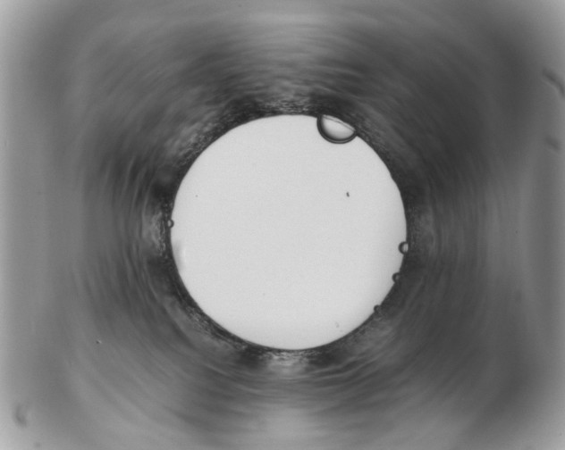 X0000102470088200809051343