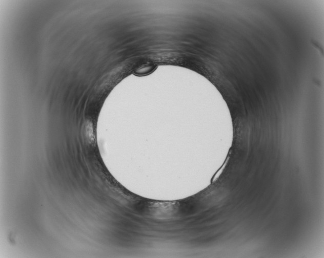 X0000102470089200809051343