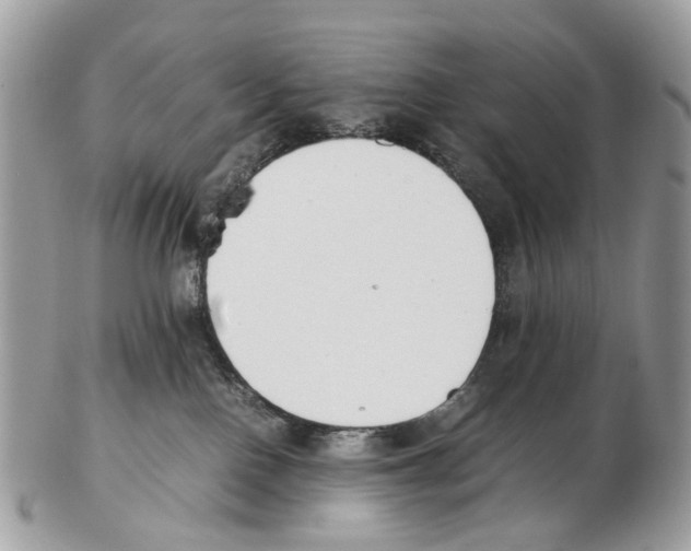 X0000102470090200809051343