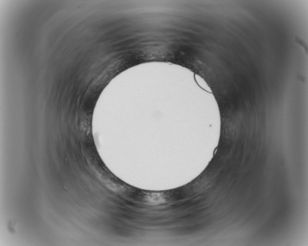 X0000102470091200809051343