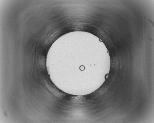 X0000102470092200809051343