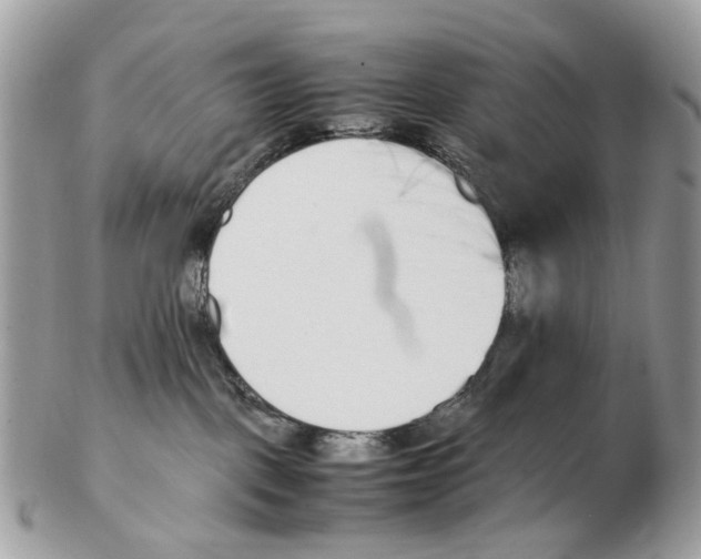 X0000102470093200809051343