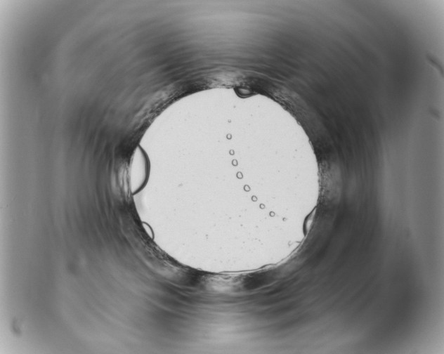 X0000102470094200809051343