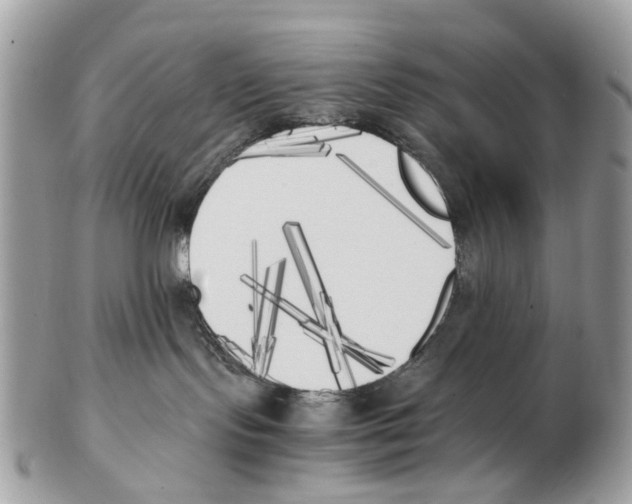 X0000102470095200809051343