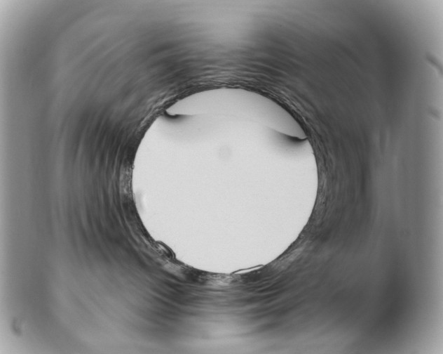 X0000102470096200809051343