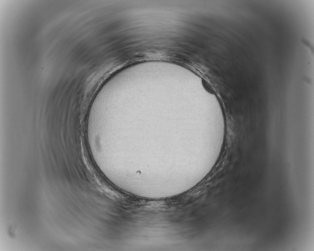 X0000102470097200809051342