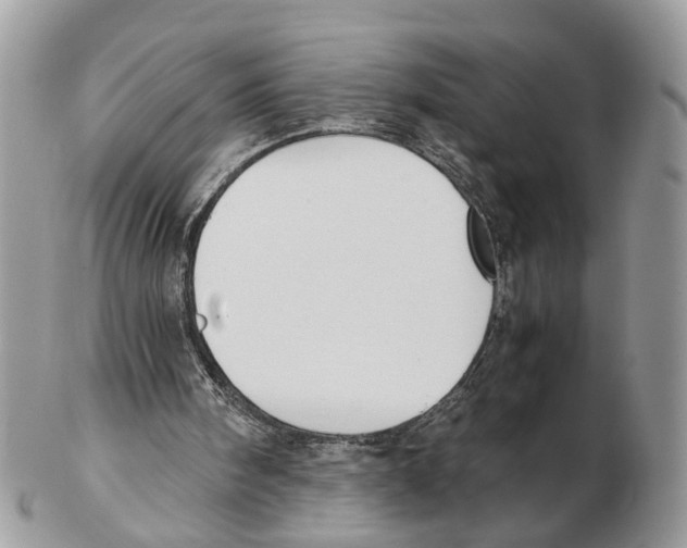 X0000102470098200809051342