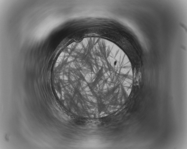 X0000102470099200809051342