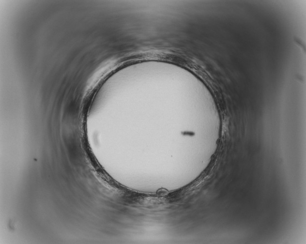 X0000102470101200809051342
