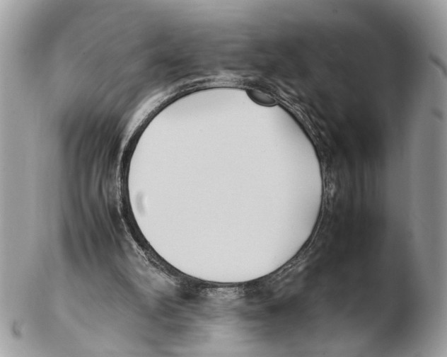 X0000102470102200809051342
