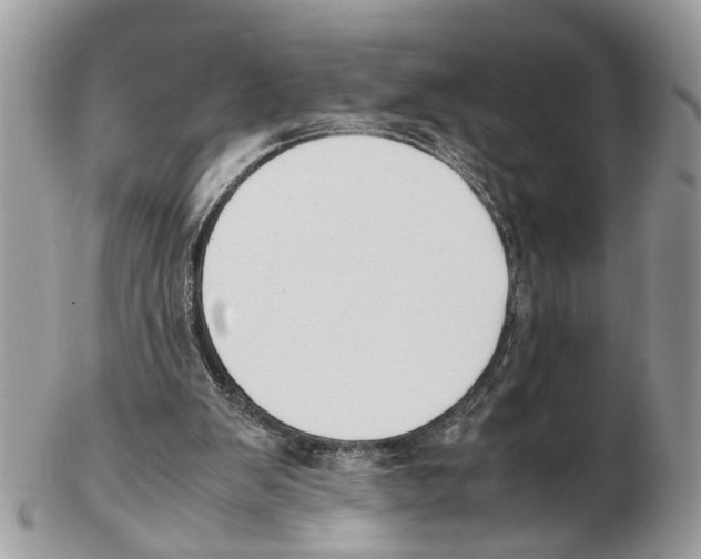 X0000102470103200809051342
