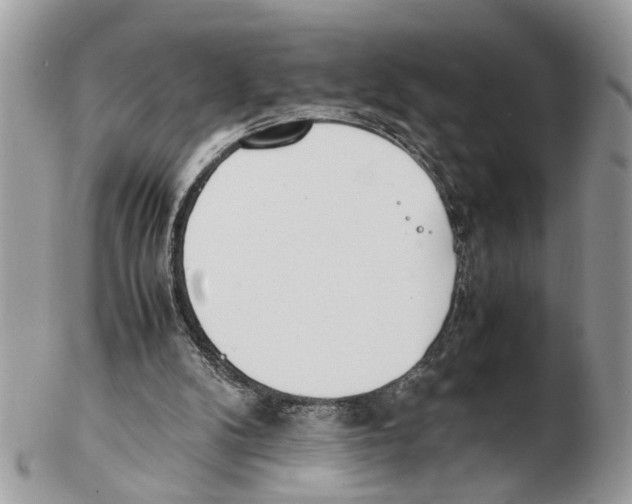 X0000102470104200809051342