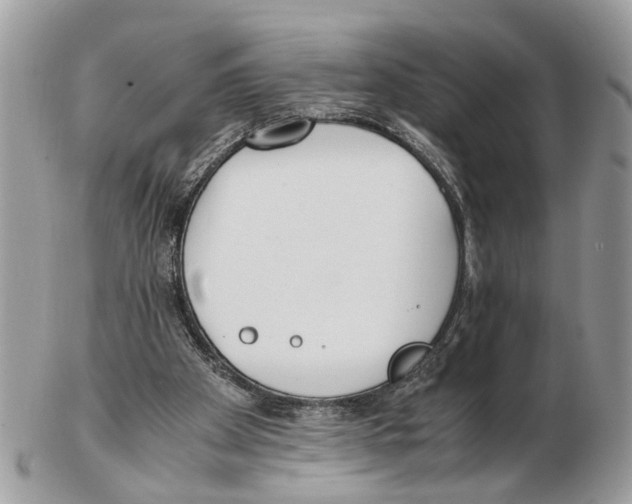 X0000102470105200809051342