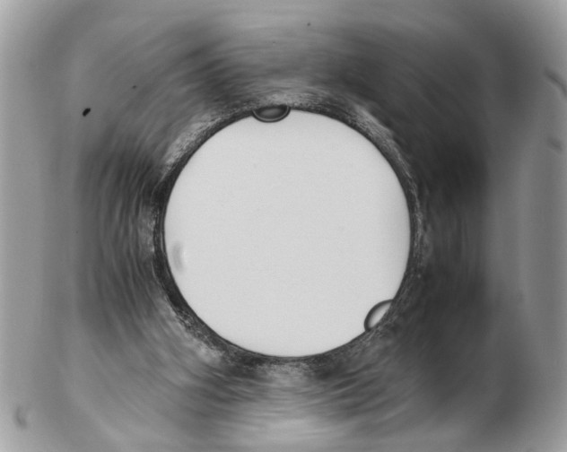 X0000102470106200809051342