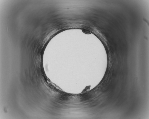 X0000102470107200809051342