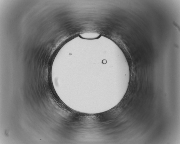 X0000102470108200809051342