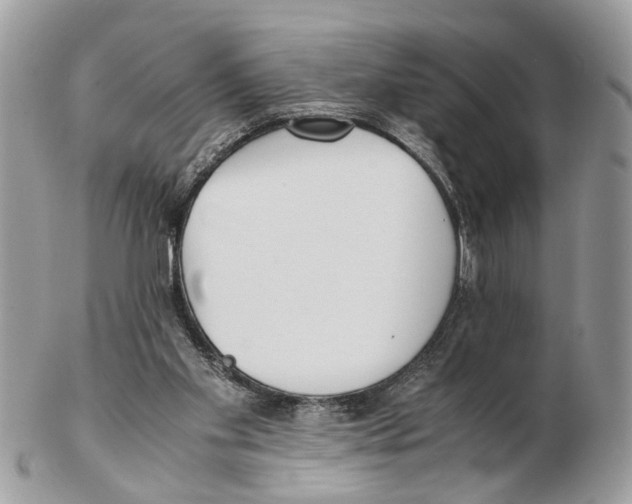X0000102470109200809051342